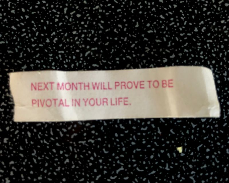 Shaun Walker to Start a "New Venture" - Will he Found an Oqtane Company?